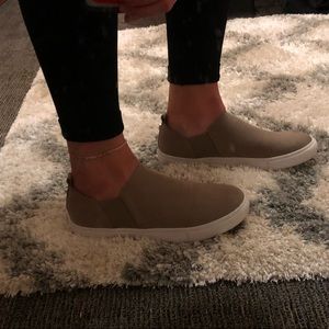 Steve Madden Janzer Sneakers